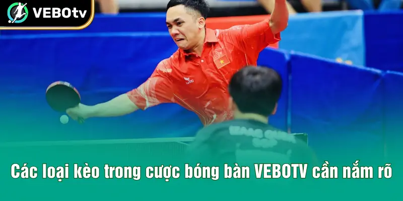 Các loại kèo trong cược bóng bàn VEBOTV cần nắm rõ