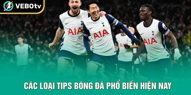 Các loại tips bóng đá phổ biến hiện nay