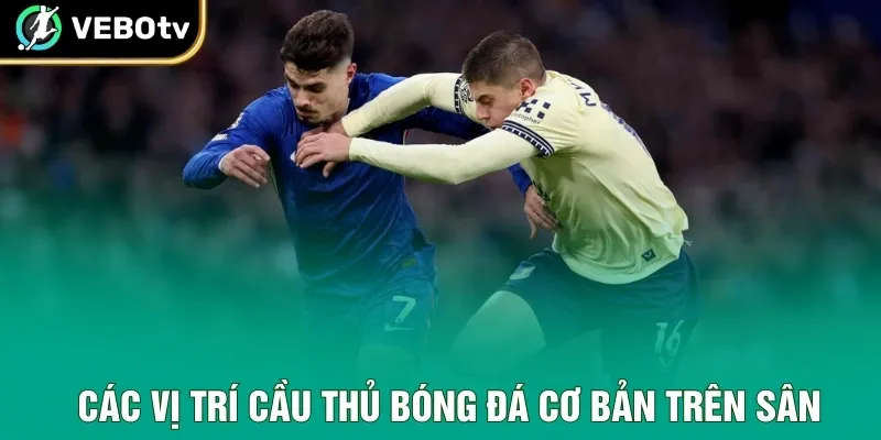 Các vị trí cầu thủ bóng đá cơ bản trên sân