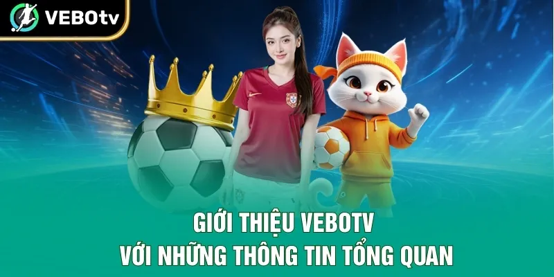 Giới thiệu VeboTV với những thông tin tổng quan