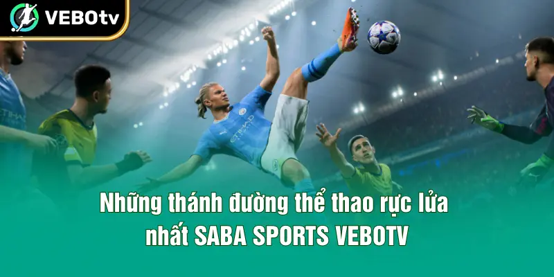 Những thánh đường thể thao rực lửa nhất SABA SPORTS VEBOTV
