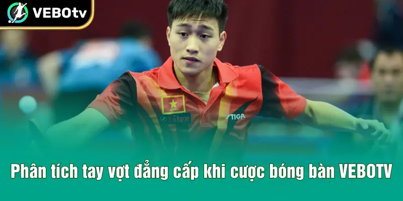 Phân tích tay vợt đẳng cấp khi cược bóng bàn VEBOTV