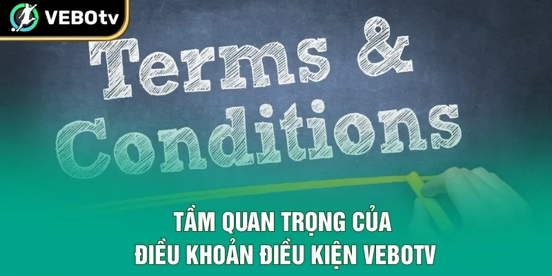 Tầm quan trọng của điều khoản điều kiện VeboTV