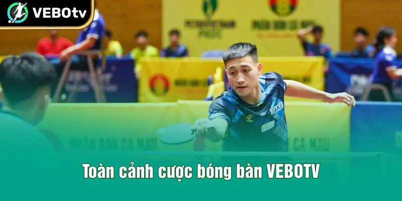 Toàn cảnh cược bóng bàn VEBOTV
