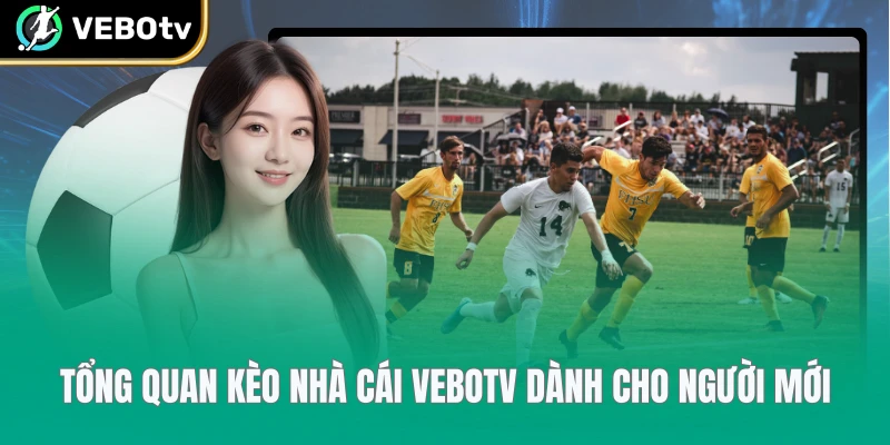 Tổng quan kèo nhà cái VeboTV dành cho người mới