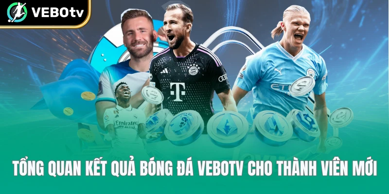 Tổng quan kết quả bóng đá VeboTV cho thành viên mới