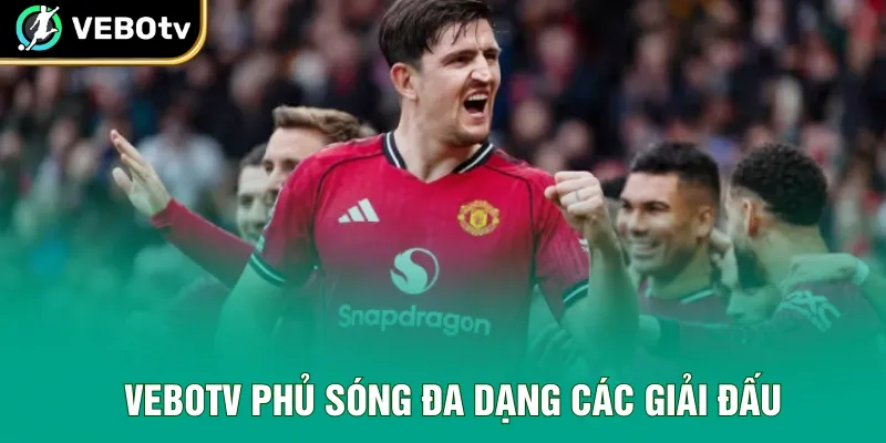 VeboTV phủ sóng đa dạng các giải đấu